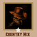 Country Music Radio Country Mix