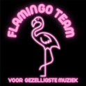 Flamingoteam-Logo