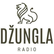 Radio Džungla 