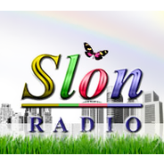 RTV Slon-Logo