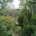 Ein kleines Haus in einem verwilderten Garten - so leben Olga und Clara seit 20 Jahren zusammen