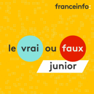 Le vrai ou faux junior-Logo