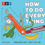 How To Do Everything-Logo